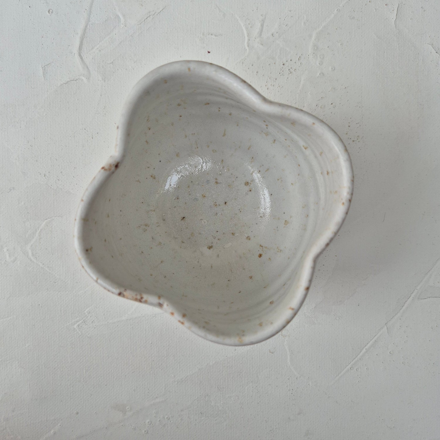 tulip white cup seen from above
