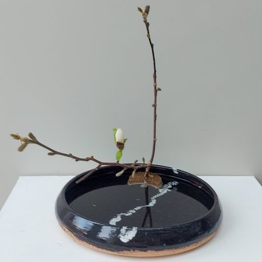 Ikebana 4